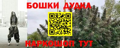 прущие грибы Заволжье