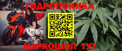 прущие грибы Заволжье