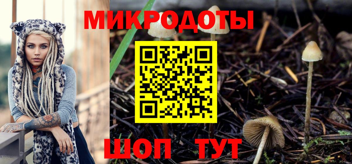 Ростов Великий  Галлюциногенные грибы MAGIC MUSHROOMS  Вход с VPN  Псилоцибиновые грибы прущие грибы 